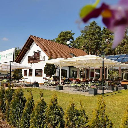 Lokal Genial Pension&Restaurant Beelitz Exterior foto